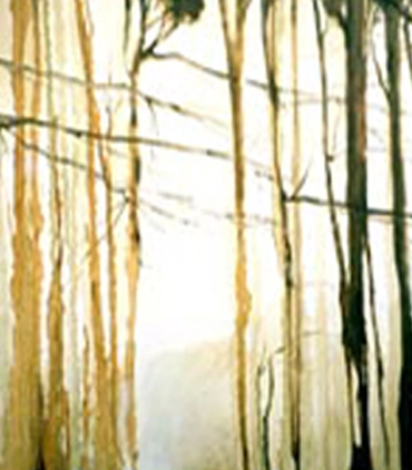 Img_Profilo_artista Baldovin Gianpaolo