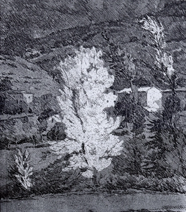 Img_Profilo_artista Castellani Leonardo